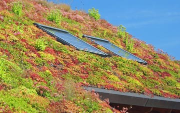 Chellington living roof systems