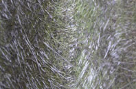 Chellington fibreglass roof work